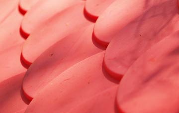 Dalhally plastic roof costs