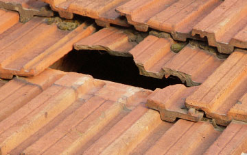 roof repair Dalhally, Angus